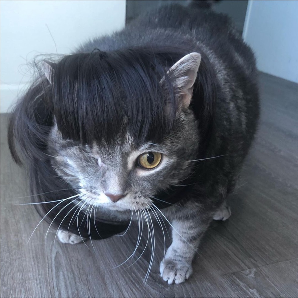 Little Guy’s iconic mullet/man bun